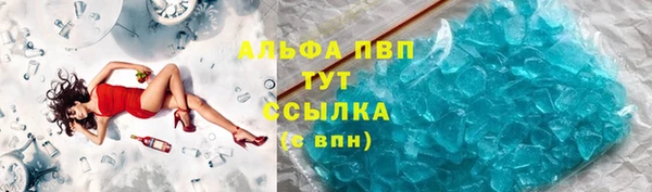 гашик Касимов