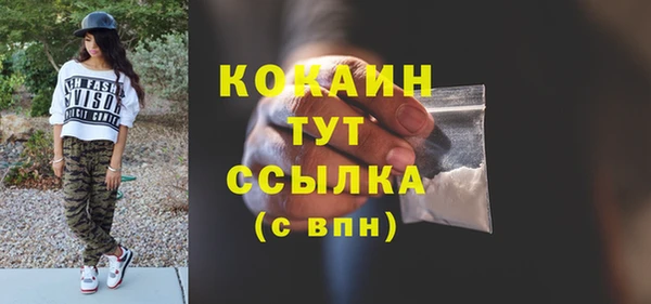гашик Касимов