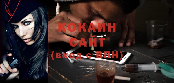 гашик Касимов