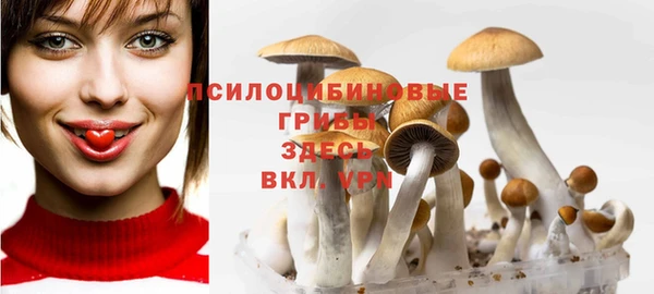 метамфетамин Карпинск