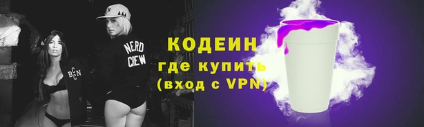 гашик Касимов