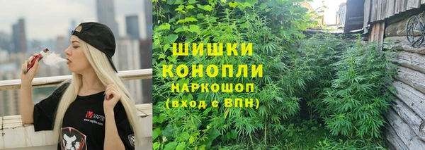 гашик Касимов