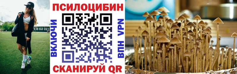Купить где  Мещовск  Галлюциногенные грибы мухоморы 