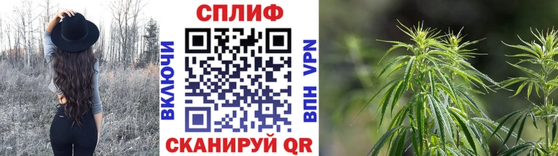 Каннабис OG Kush  Купить  Мещовск 